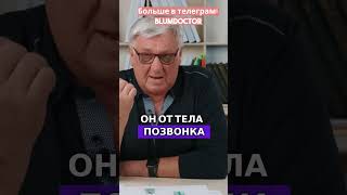 Что НА САМОМ ДЕЛЕ происходит с твоей спиной?! #больвспине  #остеохондроз #грыжа #shorts