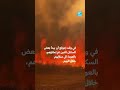 إسبانيا : تواجه أكبر حرائق الغابات في تاريخ البلاد الحديث
