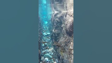 ان الله وملائكته يصلون على النبي تلاوة جميلة وخشوع