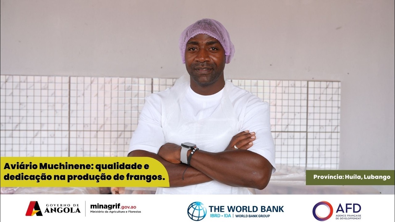 Aviário Muchinene: Qualidade e Dedicação na produção de Frangos.