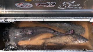 How to make a livewell for catfishing tournament's D.I.Y. SUPER EASY!! 