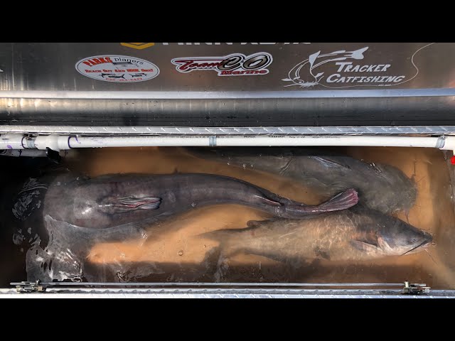 How to make a livewell for catfishing tournament's D.I.Y. SUPER