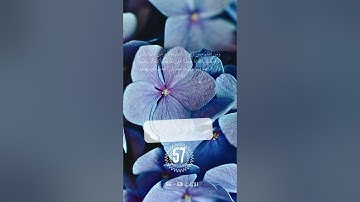 ايات من سورة الكهف 56 - 58