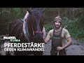 Waldbauers Welt - Mischwald, Pferdekraft und Selbstvermarktung gegen den Klimawandel | WANDELKLIMA