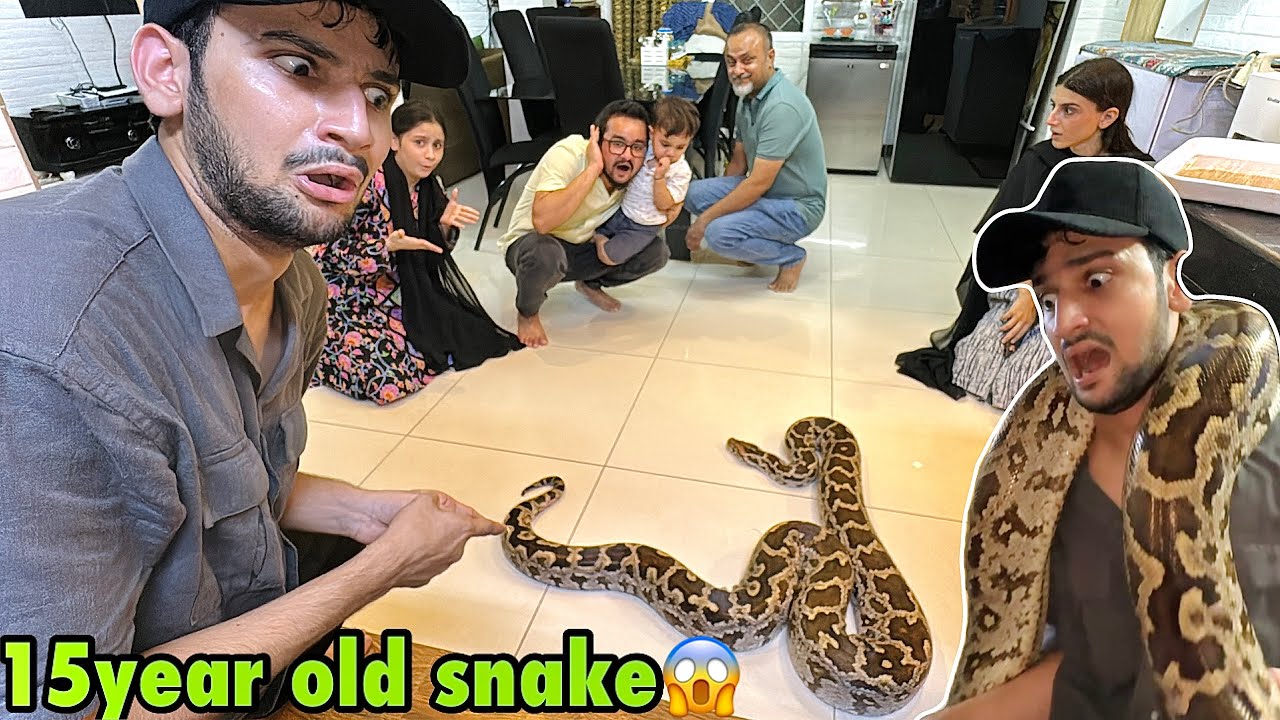 Ghar mai itna bara snake agaya😳 | sab itna darte hain😞