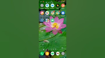 Coding for getting the square of a number | in pydroid 3 ( python programming )
