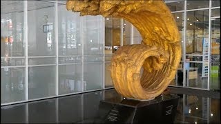 Virtual Tour - Library & Knowledge Center - Binus University - JWC Campus