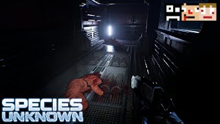 【協力サバイバルホラー】廃墟となった船を舞台に未知の生物から逃げつつ帰還する【あくまで個人戦】