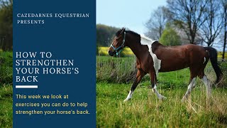 How to strengthen your horse's back