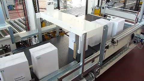 LITA Palletising Systems - Low level infeed Layer type Palletizer Presto 2