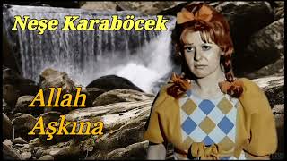 Neşe Karaböcek - Allah Aşkına Resimi
