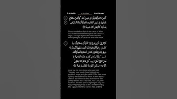 #DailyQuran [04] Surah An-Nisaa [76] | Maher Al-Mu'aiqly - ‎سورة النساء | ماهر المعيقلي