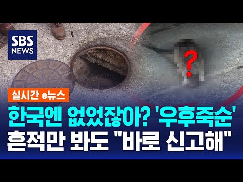 한국엔 없었잖아? '우후죽순'…흔적만 봐도 '바로 신고해' / SBS / 실시간 e뉴스