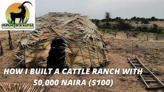 How I built a cattle Ranch with Just 50,000 Naira