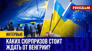 День Европы: какие вызовы стоят перед ЕС? Угрозы для поддержки Украины НЕТ