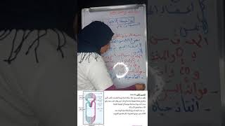 حل نموذج لاختبار الثلاثي الاول  وضعتين +وضعية ادماجية لسنوات الرابعة