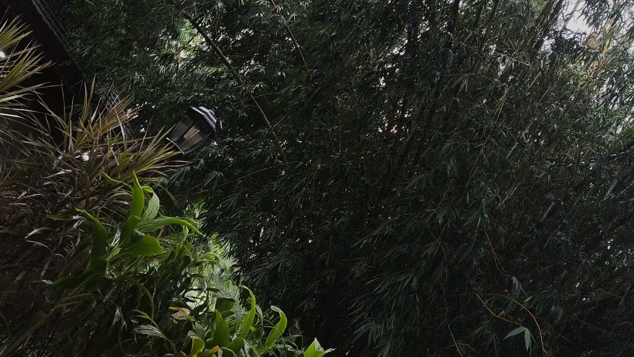 Calming Soft Rain Relaxation Music for Sleep, Meditation and Healing Vol 13