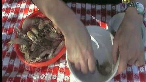How to Head and Devein Fresh, Local Shrimp