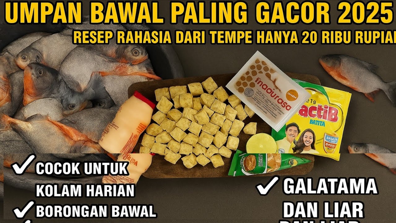 Umpan Bawal 20 Ribu Gacor 2025‼️ Rahasia Tempe Murah Super Strike