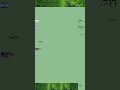 Learn Arabic - 22 Slides about the body -למד ערבית - בעלי חיים