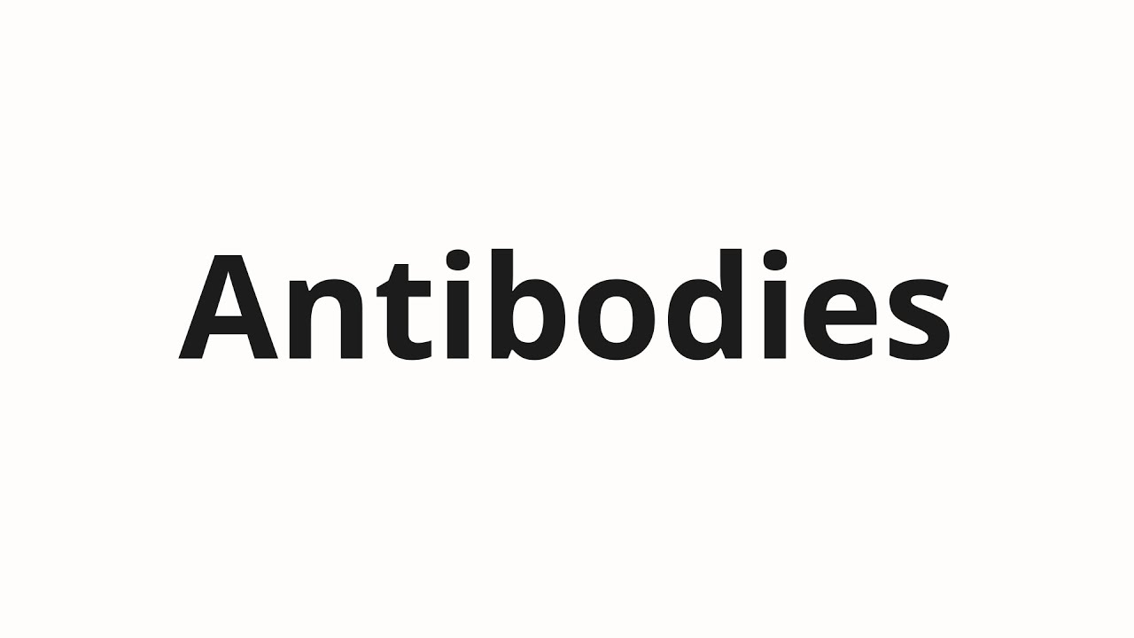 How to pronounce Antibodies YouTube
