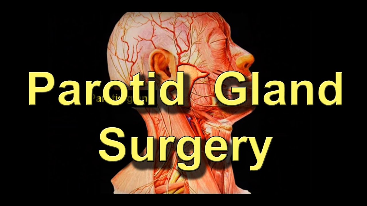 Parotid Salivary Gland Cancer