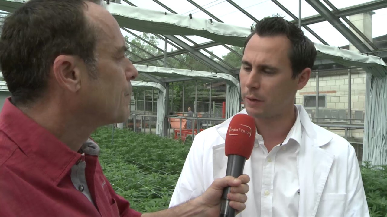 Hanf Erlebnishof in Zeiningen