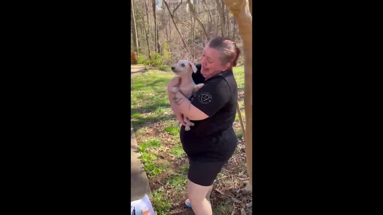 SEE IT: 18-year-old dog reunited with owner after being missing for ...