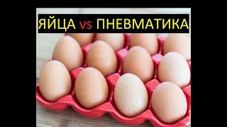 Расстреливаем яйца из пневматической винтовки