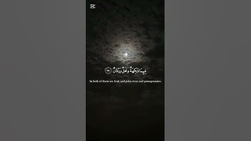 #سورة_الرحمن #ياسر_الدوسري #قرآن #قران_كريم #راحة_نفسية