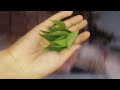 Agar apke b hairfall bahut ho raha hai toh give it a must try! 100% natural homemade remedy for hair
