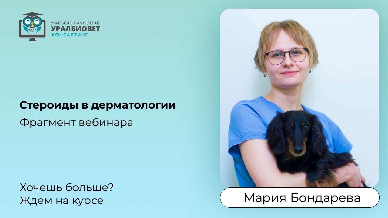 Вебинар для соискателей. Ветеринарные вебинары. Ветеринарные вебинары. Вебинары картинки. Фон для вебинара.