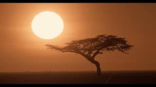 Alban Chela - NAWE