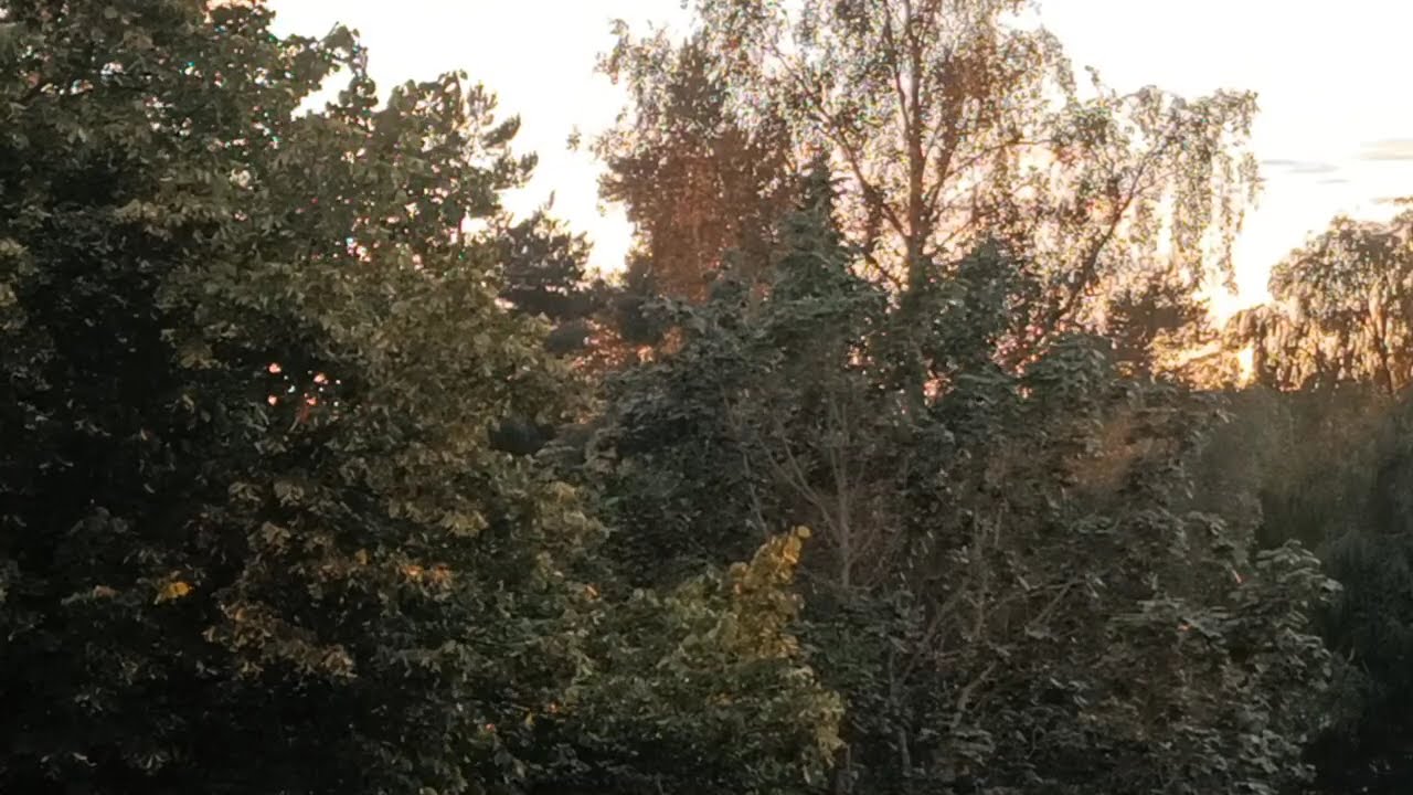 Peaceful real City soundscape 01