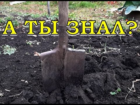 КОПАТЬ или НЕТ? Плюсы и минусы осенней перекопки почвы💪💪💪