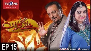 Jaltay Gulab | Episode 15 | TV One Classics | 24th November 2017