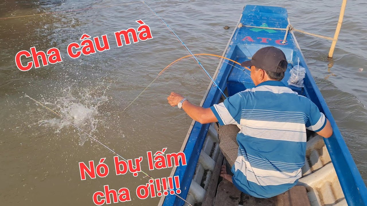 Trúng mánh bầy cá cóc, tra trong kẹt tàu hàng. Cười ra nước mắt bài văn tả Vạn Nguyễn của Thảo Vy