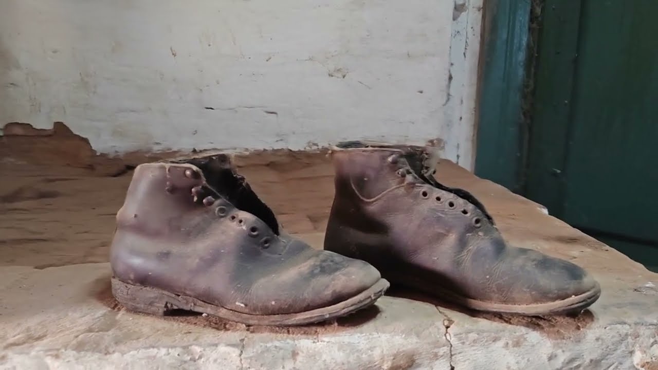 Пилю заросли на участке. Разбираю хлам в своем новом 100-летнем доме. Есть результаты?