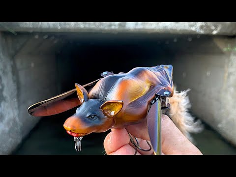 The BAT LURE catches FISH!!! (unbelievable) 