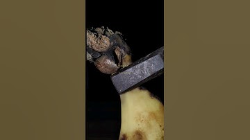 up close with banana asmr #2023 #macro #youtubeshorts #asmr #closeup