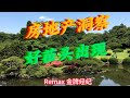 有好苗头 温哥华房地产洞察 有好苗头 温哥华房地产洞察