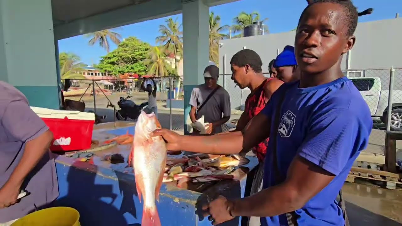 Жизнь рыбака из Деннери | Раннее утро в море в Сент-Люсии..
