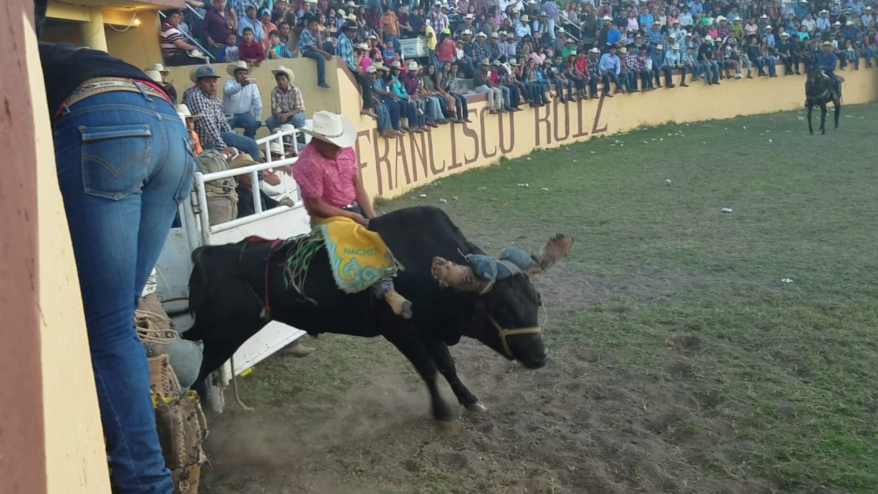Lalo Salas vs El Abismo Negro de Rancho Los Mendoza video editing software free