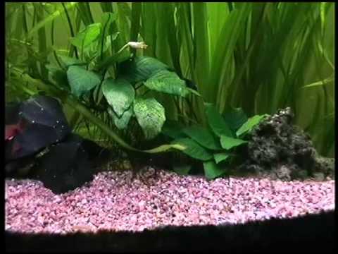 zum-glücklichsein-braucht-man-mehr