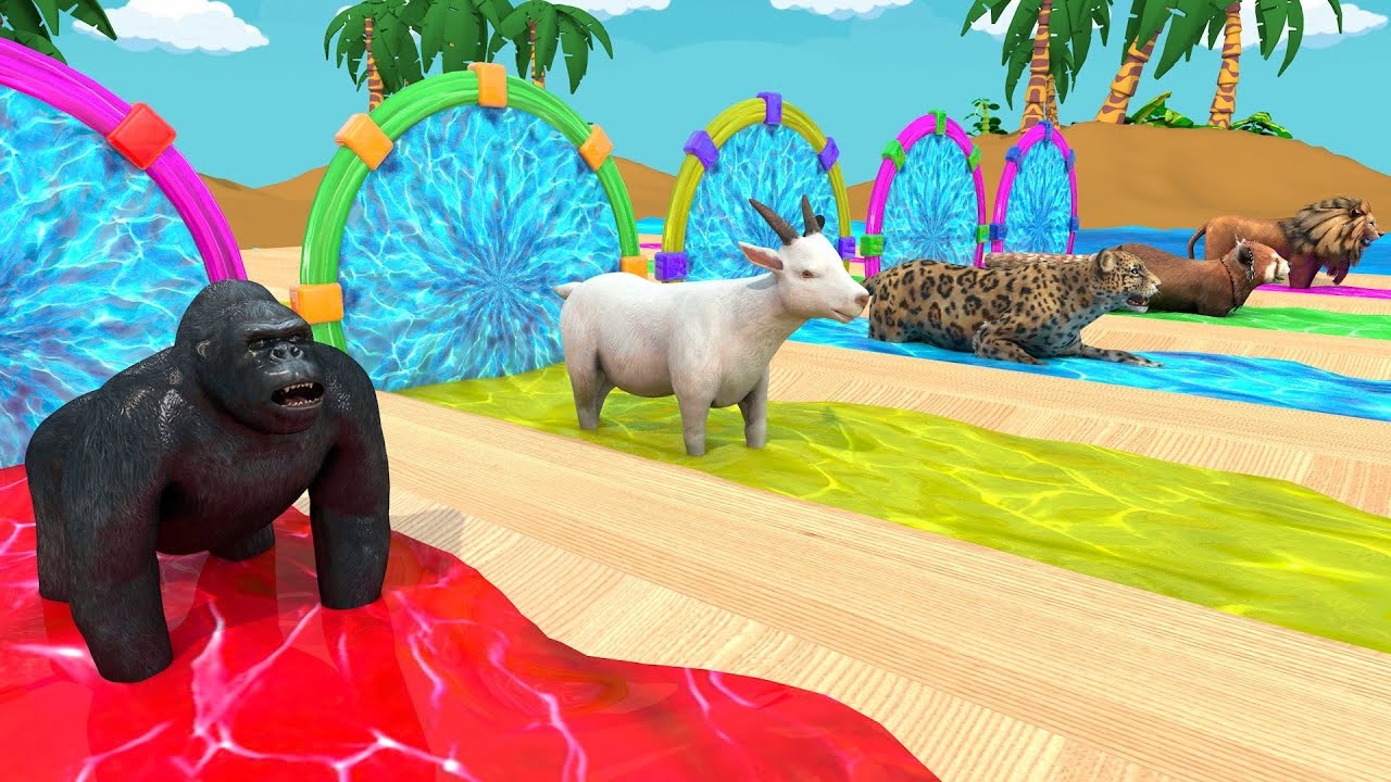 Epic 3D Animal Water Slide Race: Gorilla, Goat & Leopard in Tropical Showdown!  | Funny 3d Animals