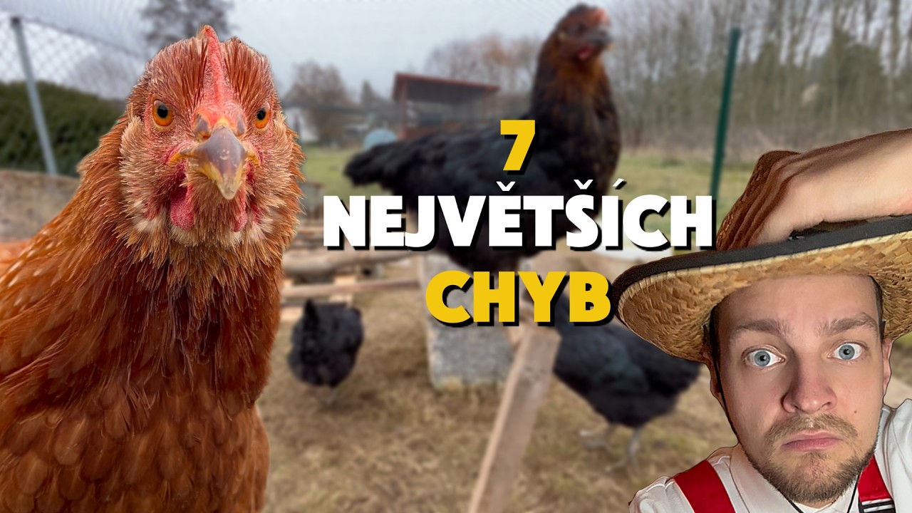 Proč mi o těchto problémech neřekli dřív? Toto by mi ušetřilo peníze i čas. Proč slepice nenesou?🐔🥚