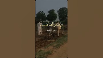 سورة والعصر بماع اردو ترجمہ۔