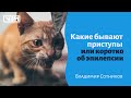 Какие бывают приступы или коротко об эпилепсии