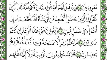 ناصر القطامي - سورة يس HD