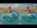 Cell cycle inhibitors  cdk46 inhibitors